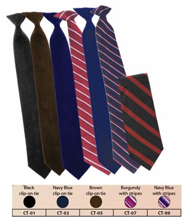 Professional Clip-on Tie