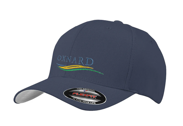 Premium Original Flexfit V-Flexfit Cotton Twill Fitted Hat (HT124)